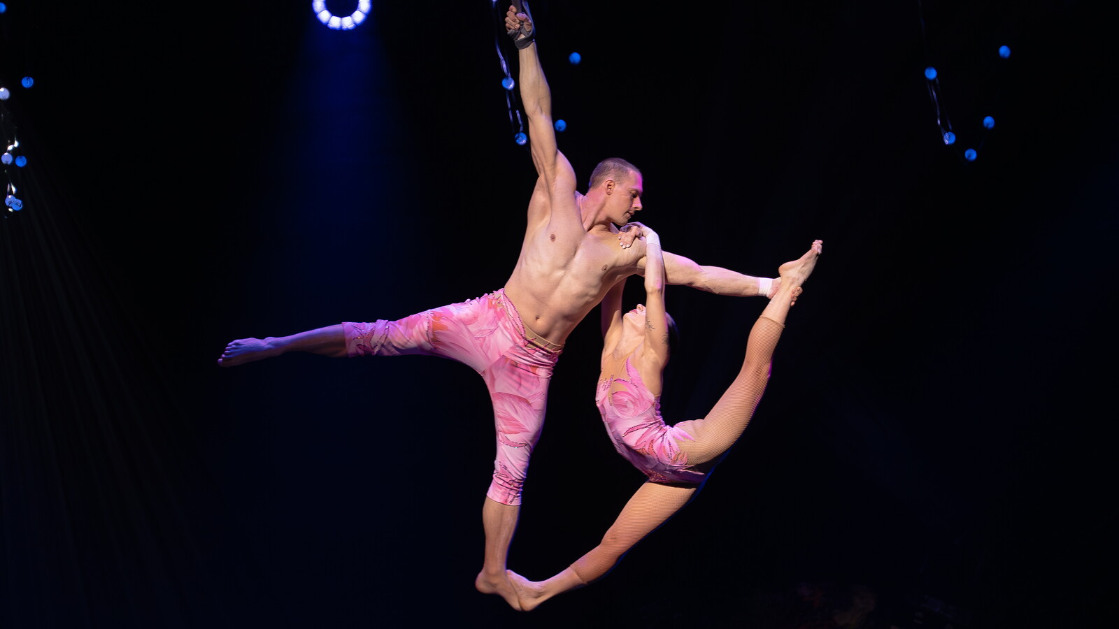 Duo flamingos -1600.jpg?v=1